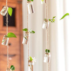 Twine Hanging Propagation Jars