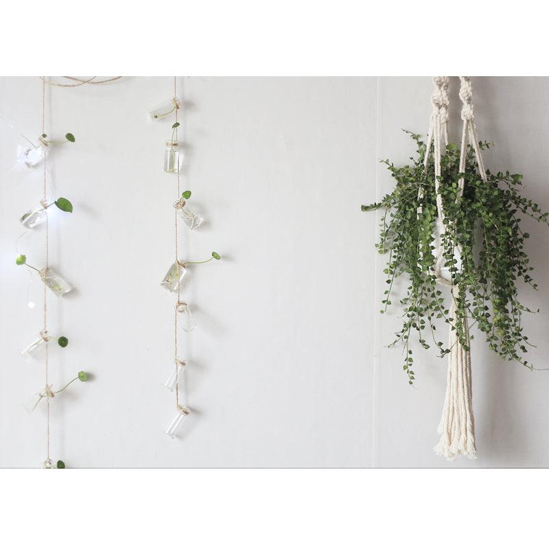 Twine Hanging Propagation Jars