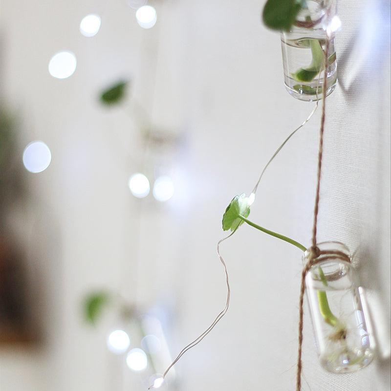 Twine Hanging Propagation Jars