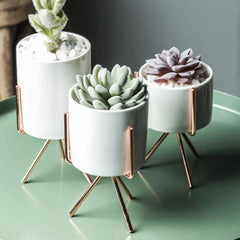 Short Tabletop Ceramic Planter with Geometric Metal Stand