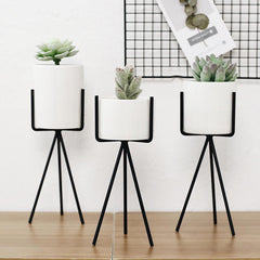 Long Tabletop Ceramic Planter with Geometric Iron Stand